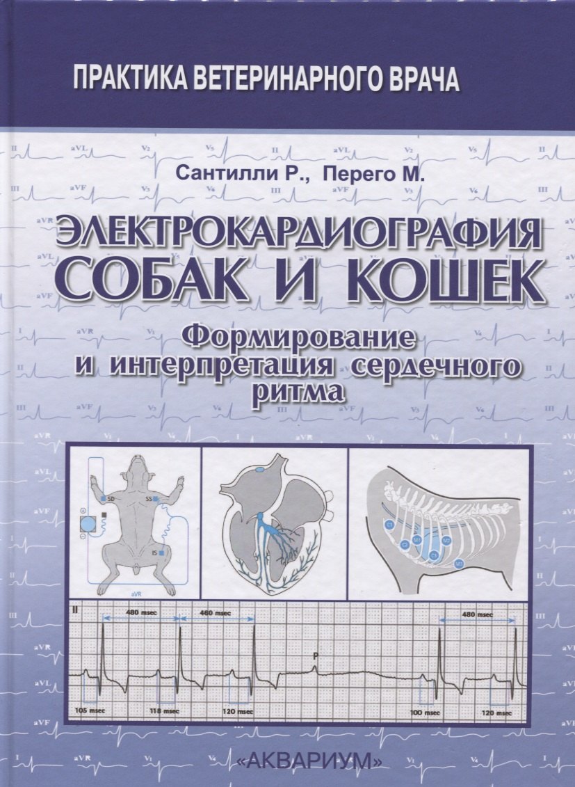 Электрокардиография собак и кошек. Формирование и интерпретация сердечного ритма
Электрокардиография собак и кошек. Формирование и интерпретация сердечного ритма