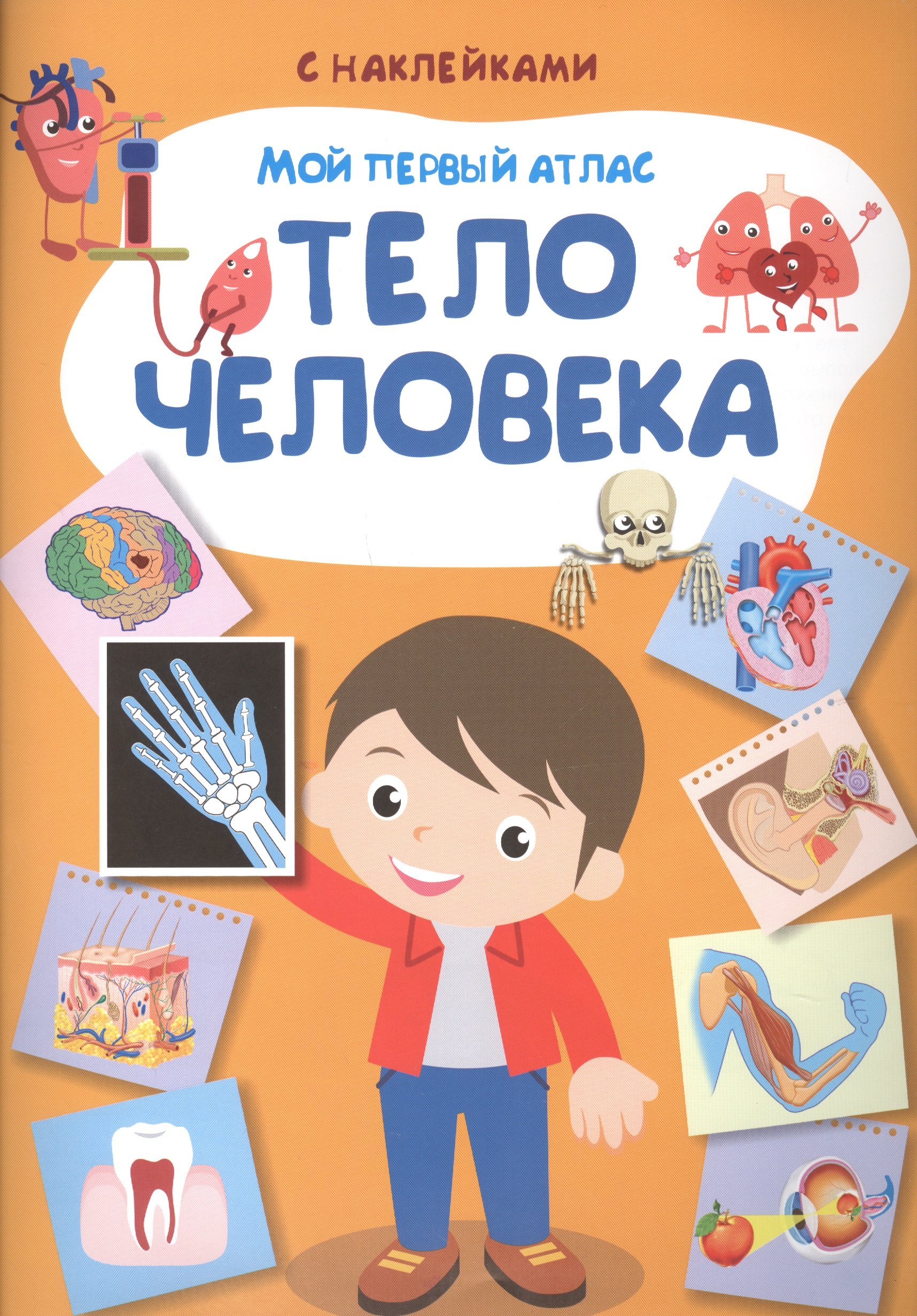 Мой первый атлас. Тело человека
Мой первый атлас. Тело человека