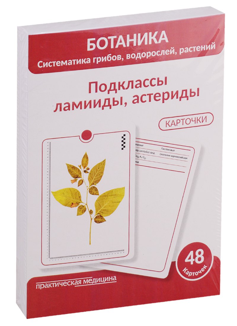 Ботаника. Систематика грибов, водорослей, растений. Подклассы ламииды, астериды. 48 карточек
Ботаника. Систематика грибов, водорослей, растений. Подклассы ламииды, астериды. 48 карточек