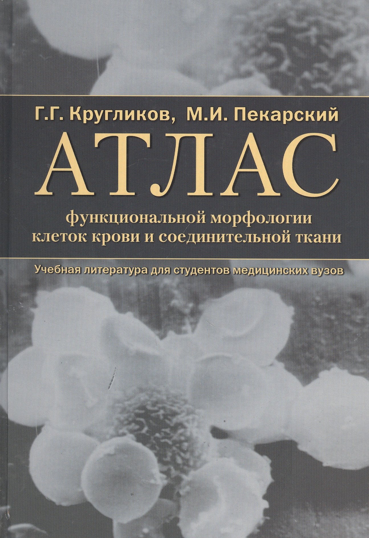 Атлас функциональной морфологии клеток крови и соединительной ткани (сканирующая и трансмиссионная электронная микроскопия). Учебное пособие
Атлас функциональной морфологии клеток крови и соединительной ткани (сканирующая и трансмиссионная электронная микроскопия). Учебное пособие
