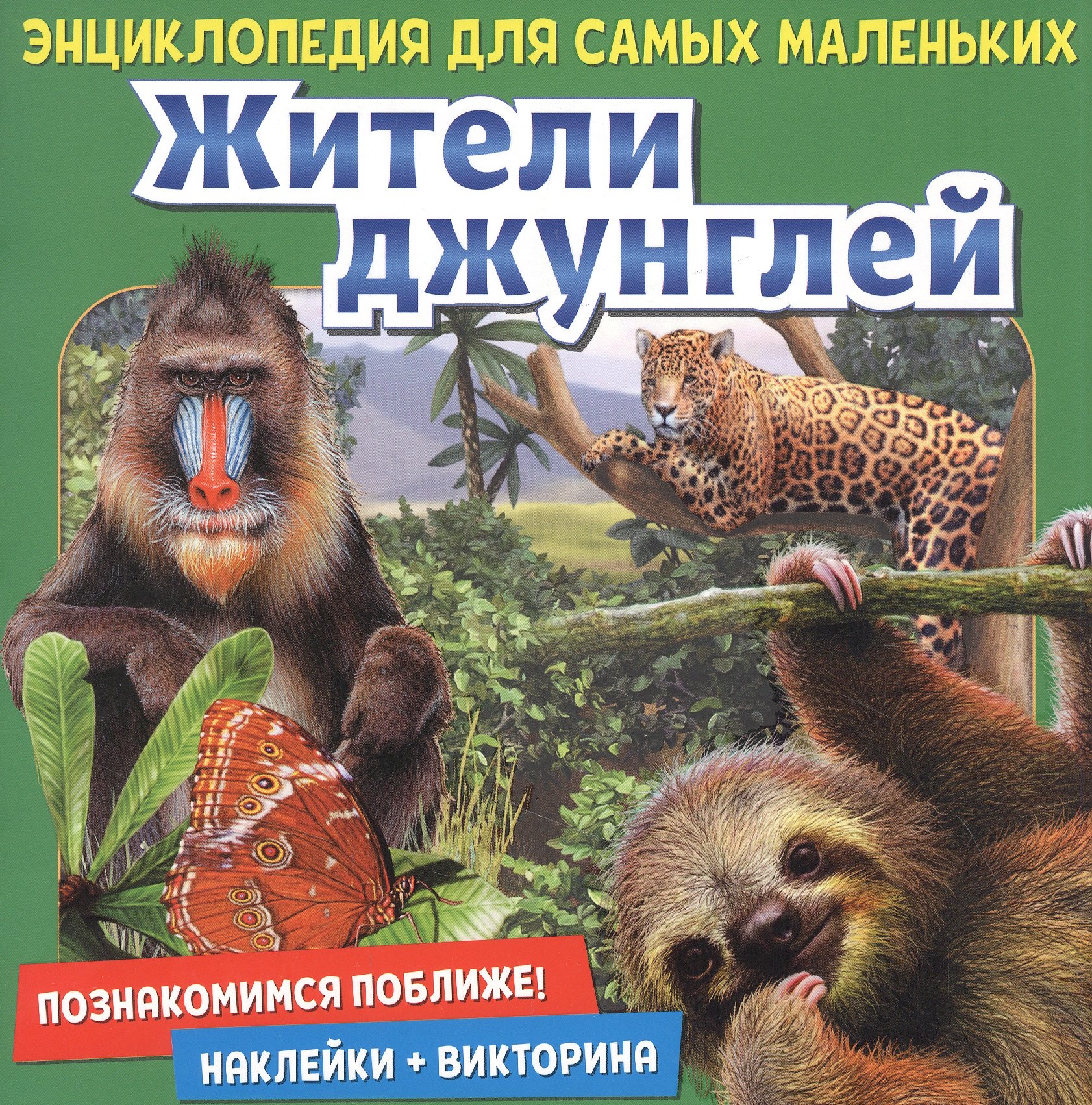 Жители джунглей. Познакомимся поближе! Энциклопедия для самых маленьких. Наклейки + викторина
Жители джунглей. Познакомимся поближе! Энциклопедия для самых маленьких. Наклейки + викторина