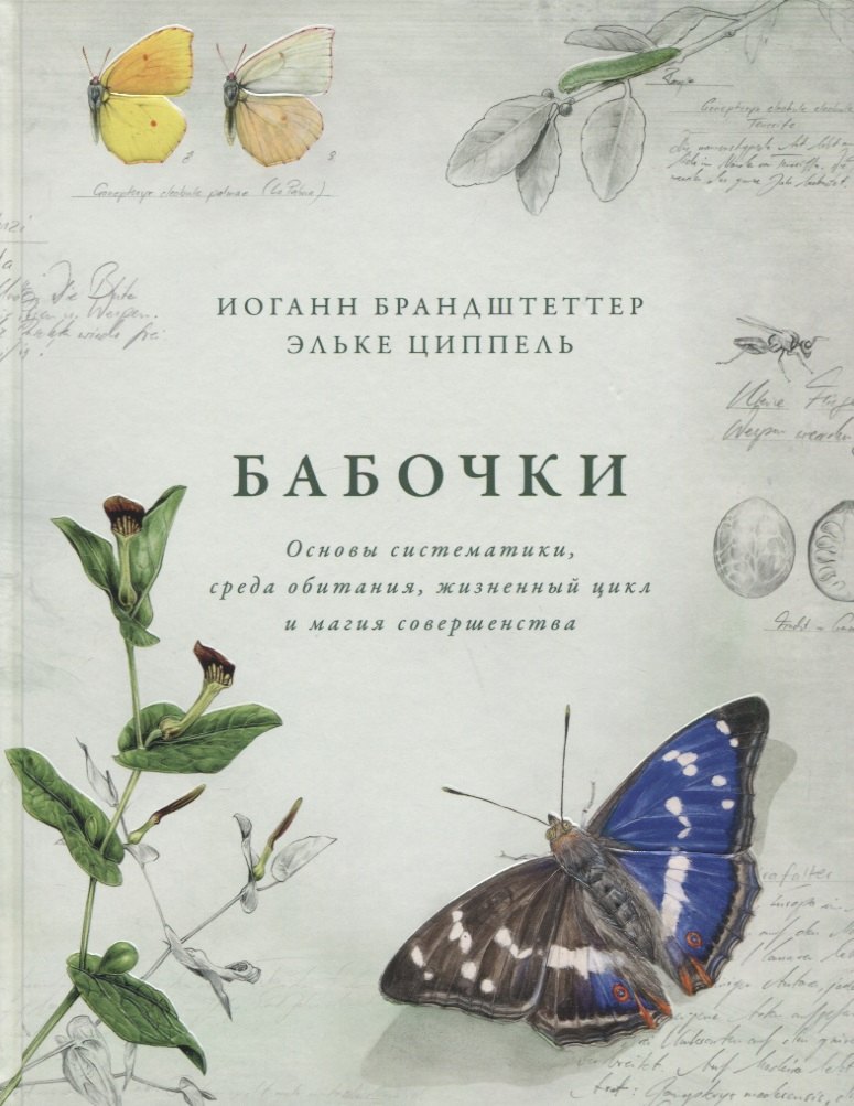 Бабочки. Основы систематики, среда обитания, жизненный цикл и магия совершенства
Бабочки. Основы систематики, среда обитания, жизненный цикл и магия совершенства