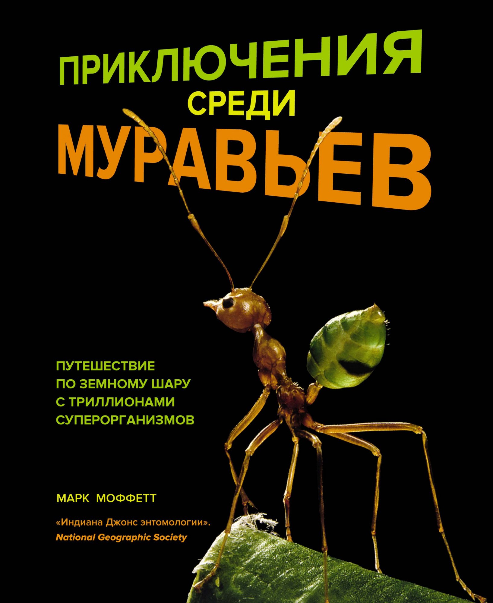 Приключения среди муравьев. Путешествие по земному шару с триллионами суперорганизмов
Приключения среди муравьев. Путешествие по земному шару с триллионами суперорганизмов
