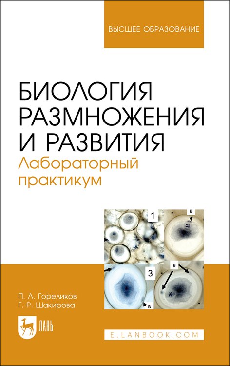 Биология размножения и развития. Лабораторный практикум. Учебно-методическое пособие
Биология размножения и развития. Лабораторный практикум. Учебно-методическое пособие