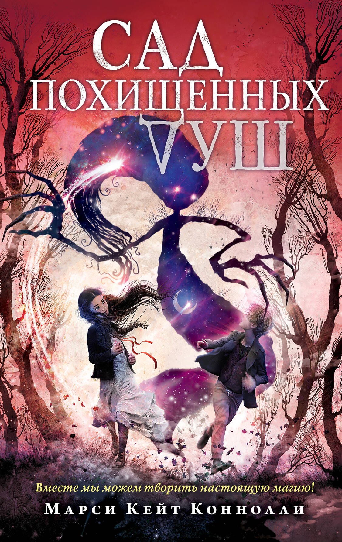 Сад похищенных душ
Сад похищенных душ