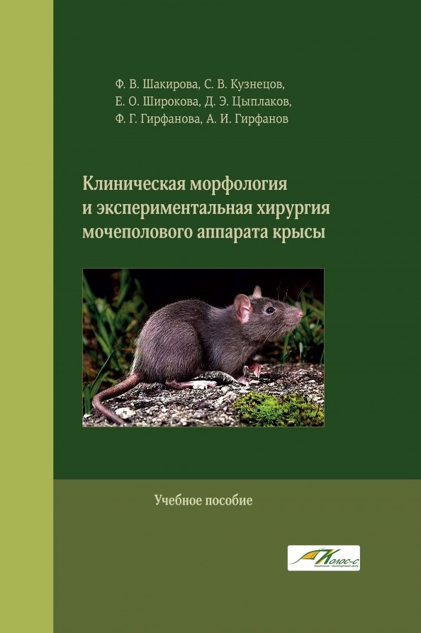 Клиническая морфология и экспериментальная хирургия мочеполового аппарата крысы
Клиническая морфология и экспериментальная хирургия мочеполового аппарата крысы