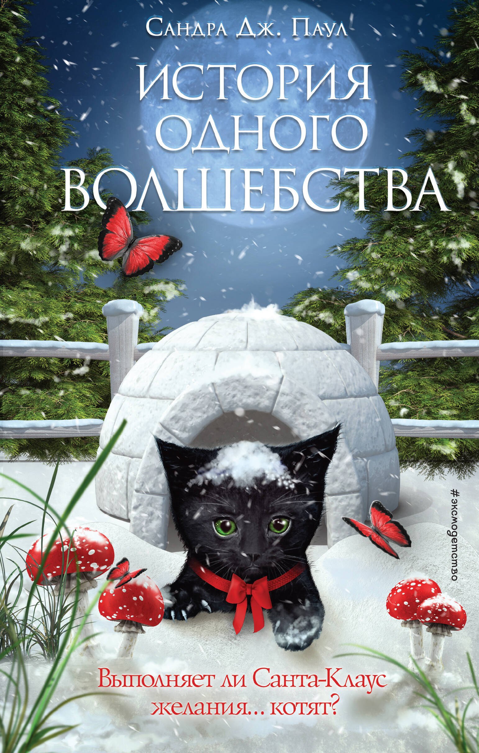 История одного волшебства 
История одного волшебства