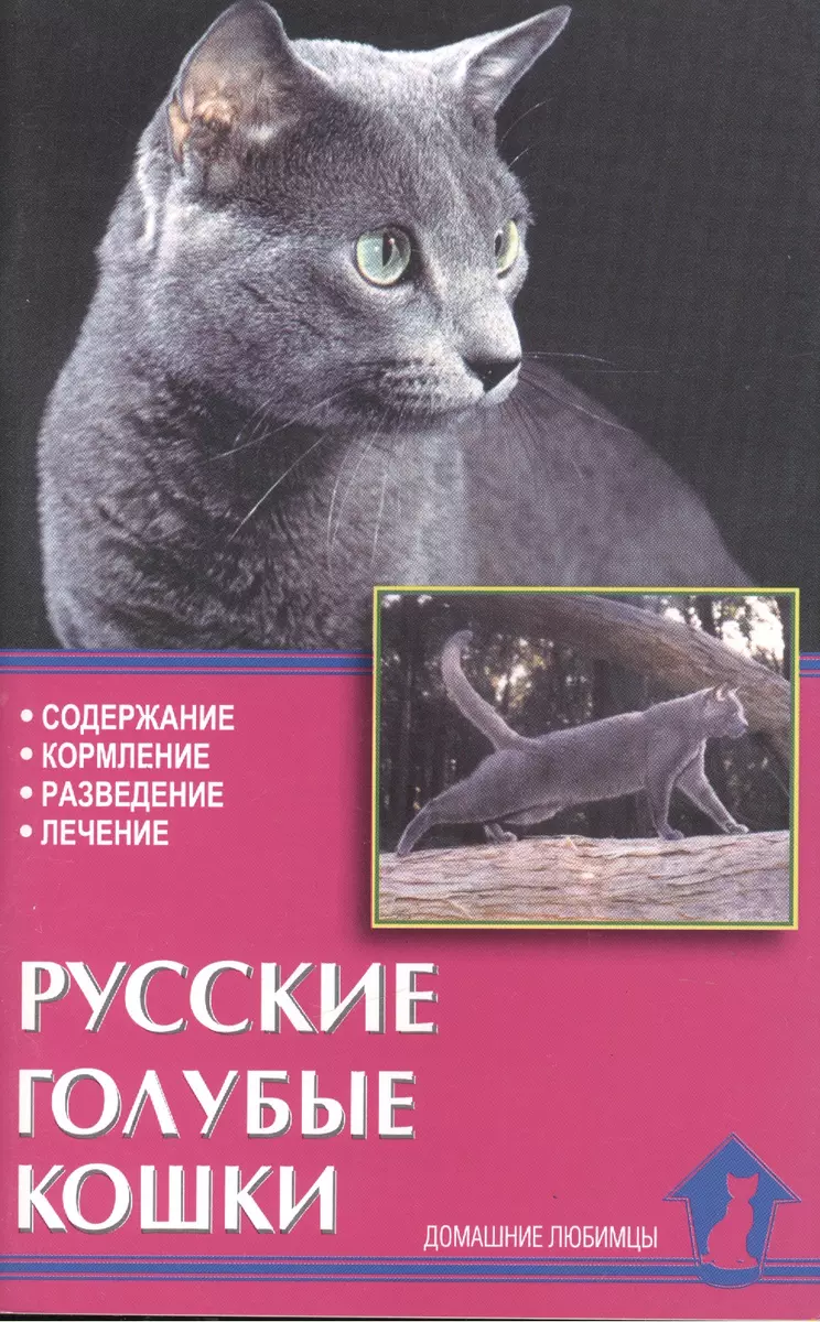 Русские голубые кошки. Содержание. Кормление. Разведение. Лечение - купить  книгу с доставкой в интернет-магазине «Читай-город». ISBN: 978-5-99-340105-8