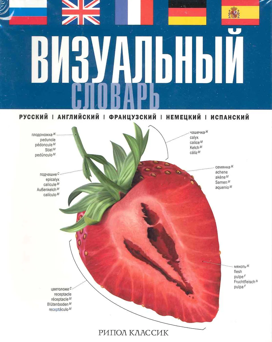 Английский испанский словарь. Русско-английский визуальный словарь. Визуальный словарь английского языка. Визуальный словарь Рипол Классик. Англо-русский визуальный словарь.