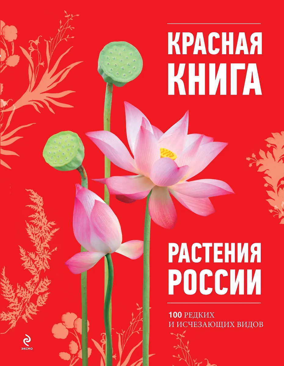 Цветы из красной книги