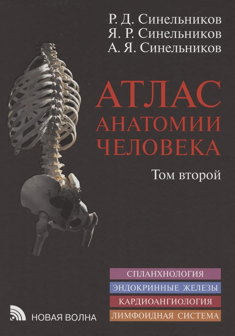 Атлас Анатомии Человека. В 3 Томах. Том Второй. Учение О.