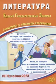 Литература. Единый государственный экзамен. Готовимся к итоговой аттестации : учебное пособие