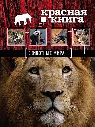 Petr Horacek «Красивая книга о животных»