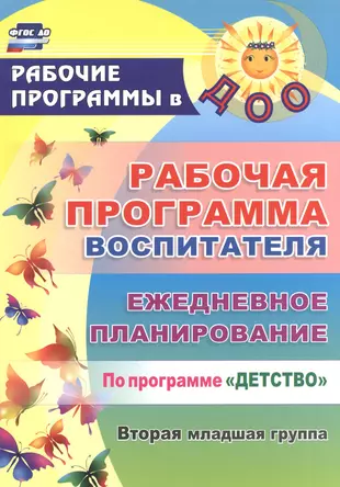 Программа воспитателя