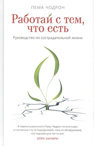 Работай с тем, что есть. Руководство по сострадательной жизни — 2765238 — 1