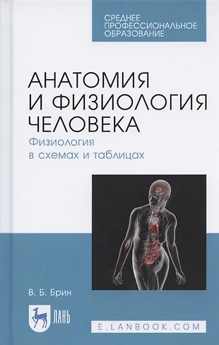 Брин в б физиология человека в схемах и таблицах