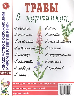 Лето в картинках наглядное пособие для педагогов логопедов воспитателей и родителей