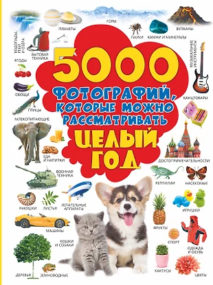 5000 картинок которые можно рассматривать целый год доманская л в