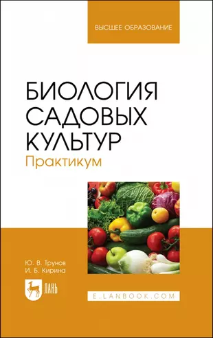 Культура практикум