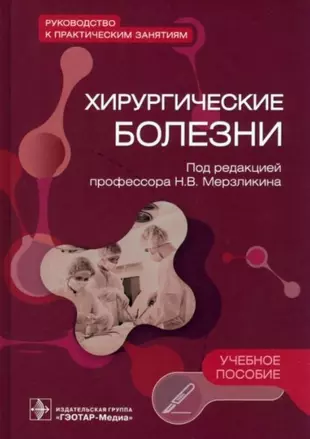 Хирургические болезни. Руководство к практическим занятиям: учебное пособие — 2956773 — 1