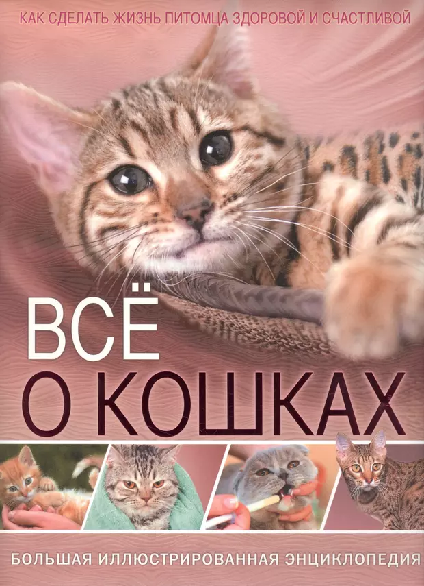 Все о кошках. Энциклопедия. Кошки. Книги про кошек. Большая энциклопедия кошек. Энциклопедия кошек книга.