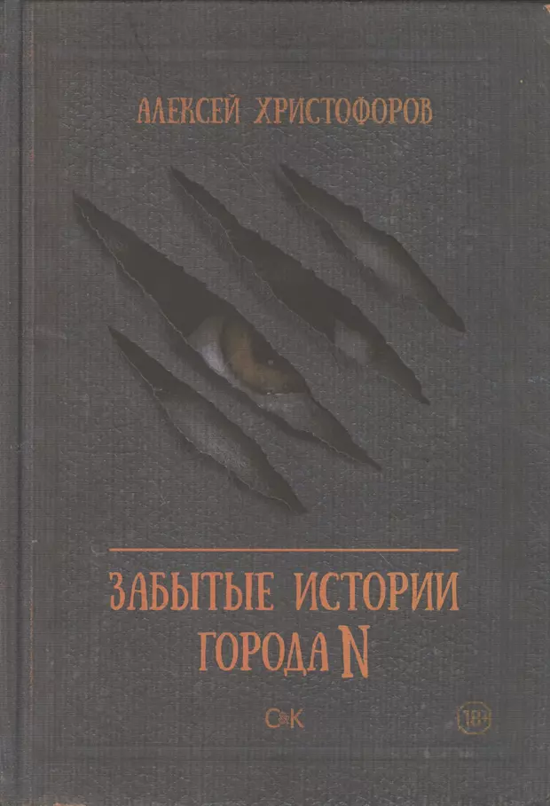 Забытая история. Забытая история книга. Забытые истории города n книга. Забытые истории города n купить. Христофорова н.к. книги.