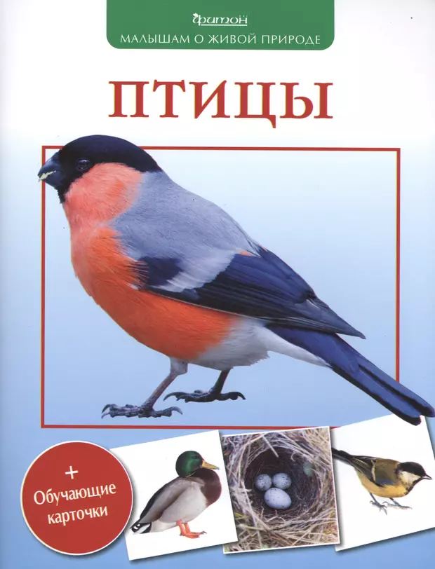 Книга птичка. Василий Вишневский 