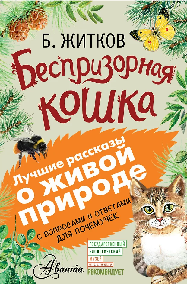 План беспризорная кошка житков