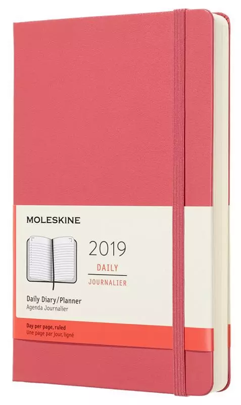 Ежедневники moleskine. Moleskine dhb2018wn3. Ежедневник Moleskine Classic датированный на 2019 год, 200 листов. Малевкин нжкднеыник розовый. Moleskine розовый блокнот.