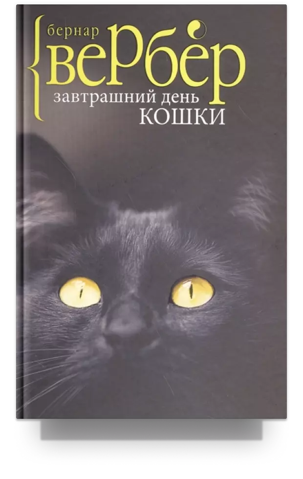 Книги про котов и кошек