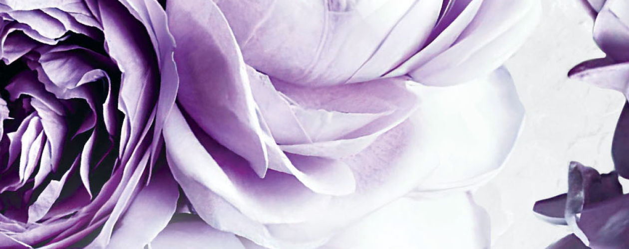 Бездушный принц (Софи Ларк) - купить книгу с доставкой в интернет ...