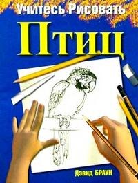 

Учитесь рисовать птиц