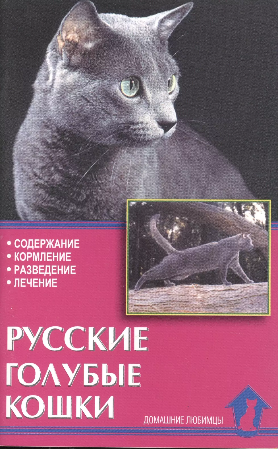 Содержание кошки. Русская голубая кошка. Книга русская кошка. Содержание кошек. Книги Жанр кошки.