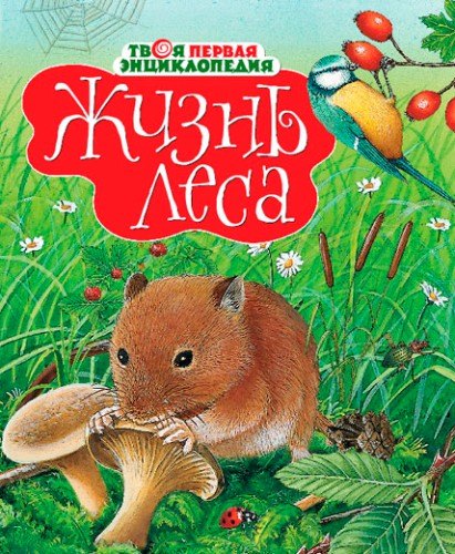 

Жизнь леса
