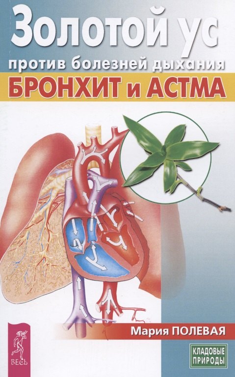 

Золотой ус против болезней дыхания. Бронхит и астма