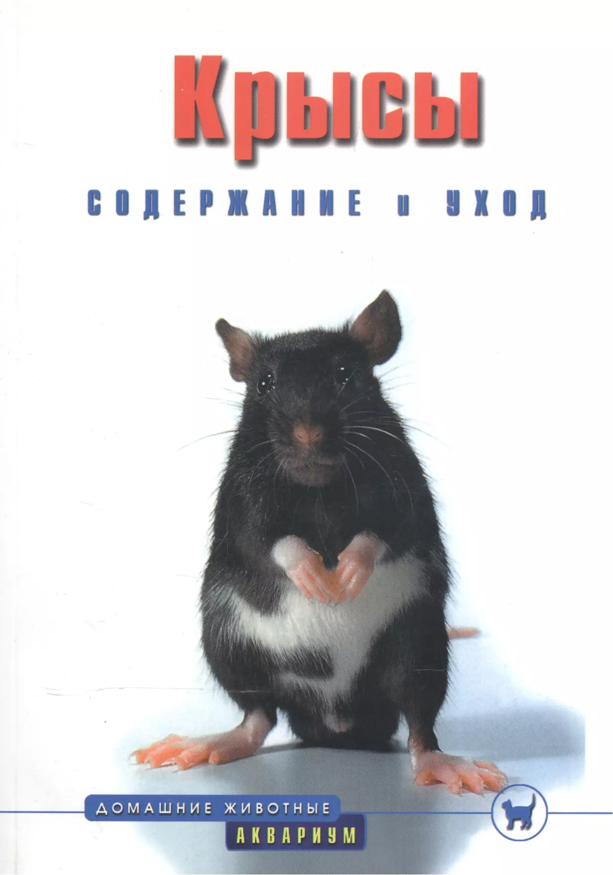 Книга крыса люди. Крыса с книгой. Крыса с книжкой. Книжки про декоративных крыс. Крыса pdf.