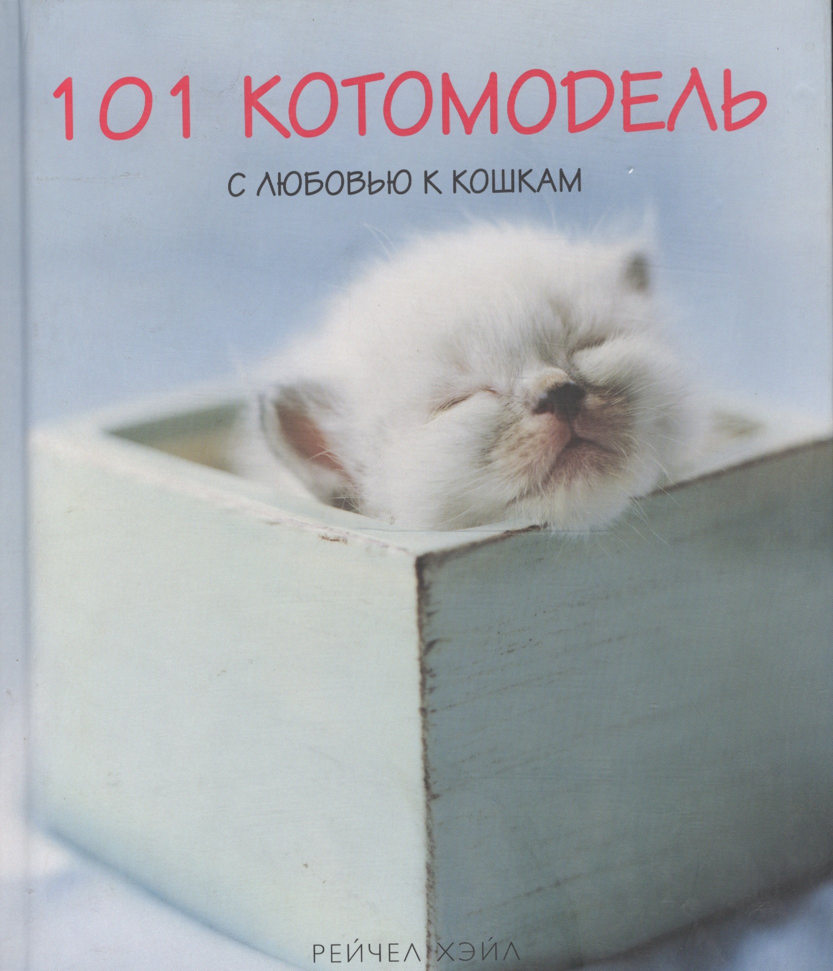 

101 котомодель: С любовью к кошкам. Альбом фотографий