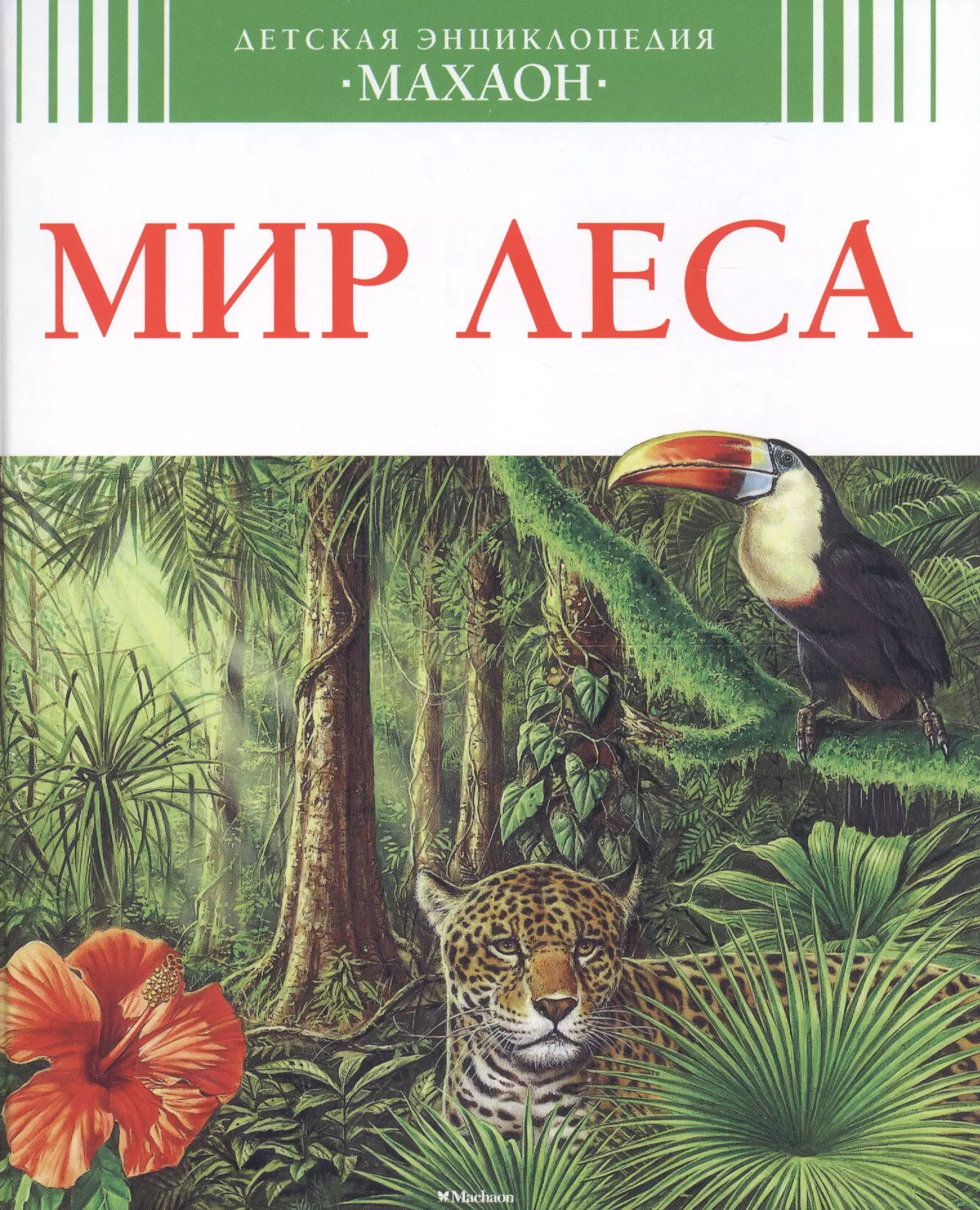 Книга мир. Детская энциклопедия Махаон мир леса. Книга мир леса Махаон. Книга в лесу. Энциклопедия в лесу.