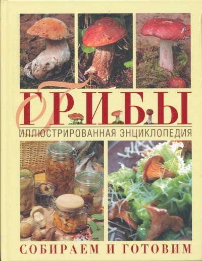 

Грибы. Иллюстрированная энциклопедия. Собираем и готовим.