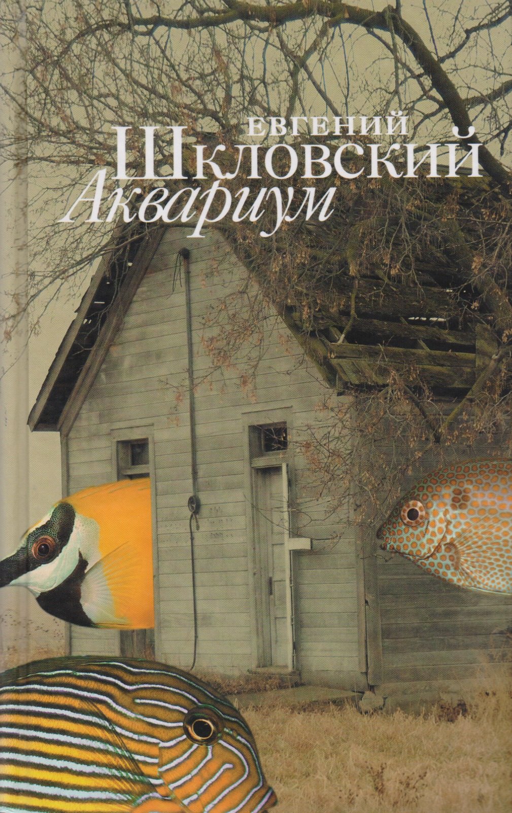 

Аквариум Рассказы (Шкловский)