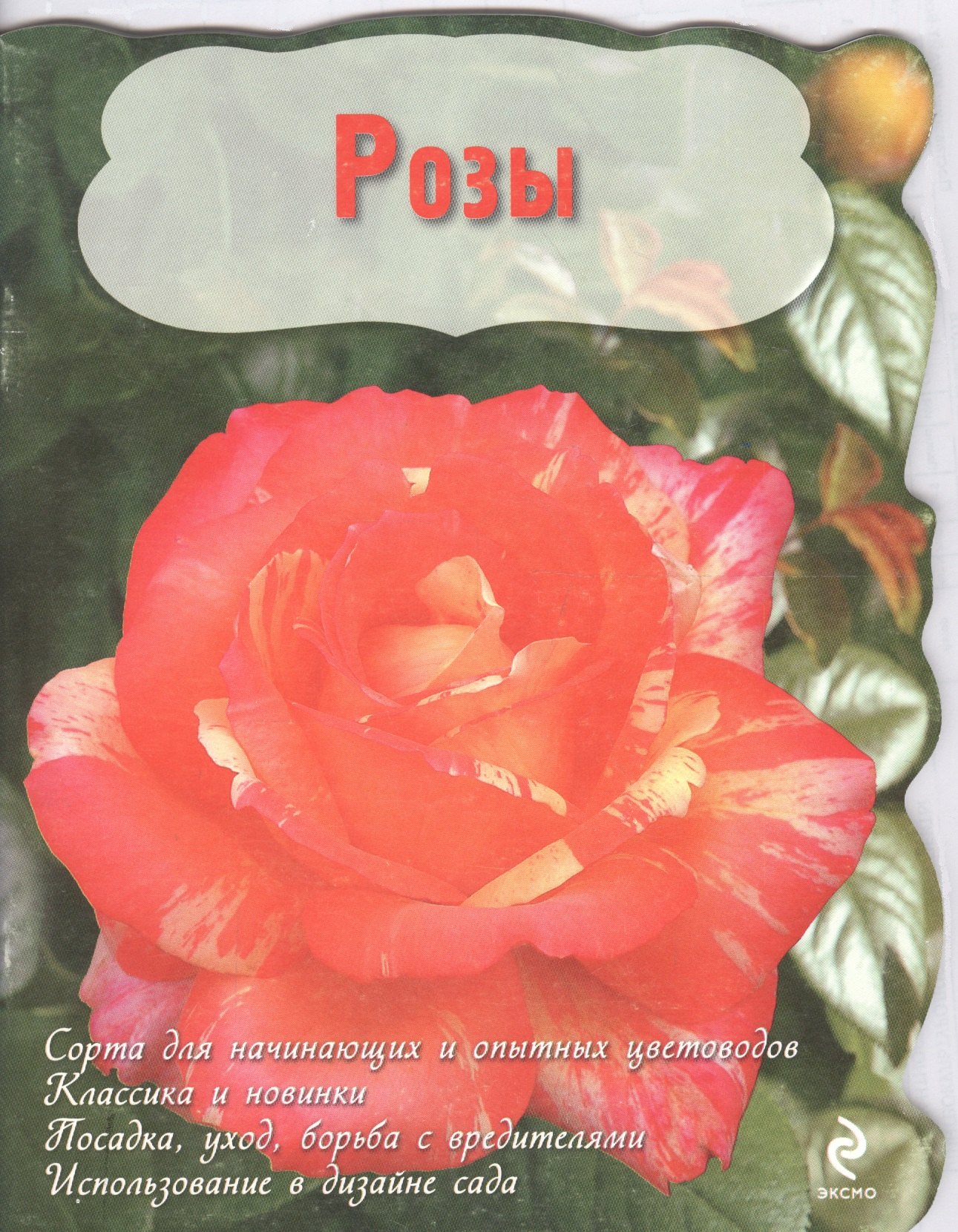 

Розы