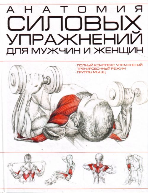Анатомия силовых упражнений для мужчин и женщин