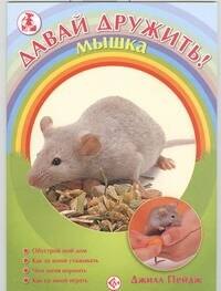 

Мышка