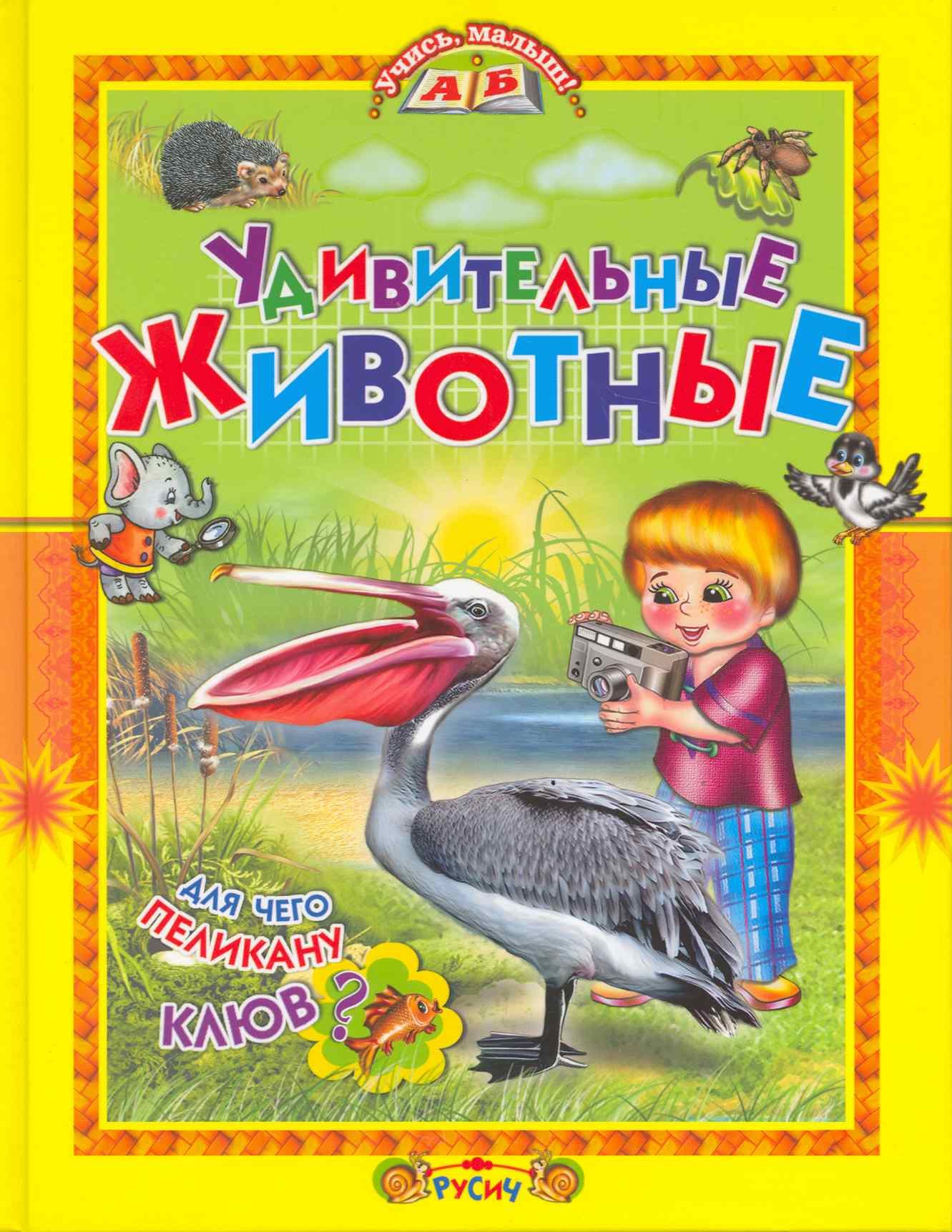 Комзалова Татьяна Александровна - Удивительные животные / (Учись малыш). Комзалова Т. (Русич)