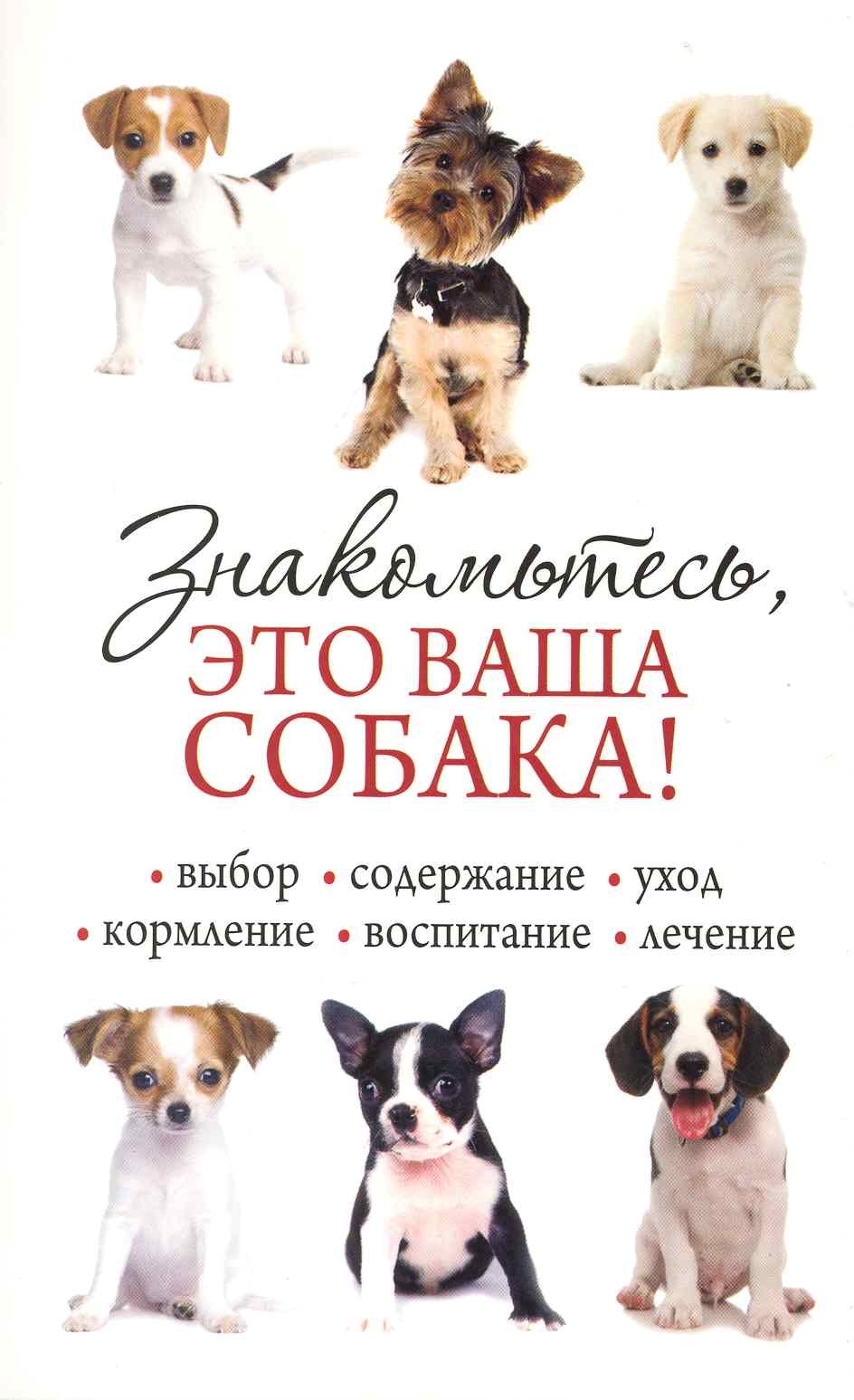 

Знакомьтесь это ваша собака!