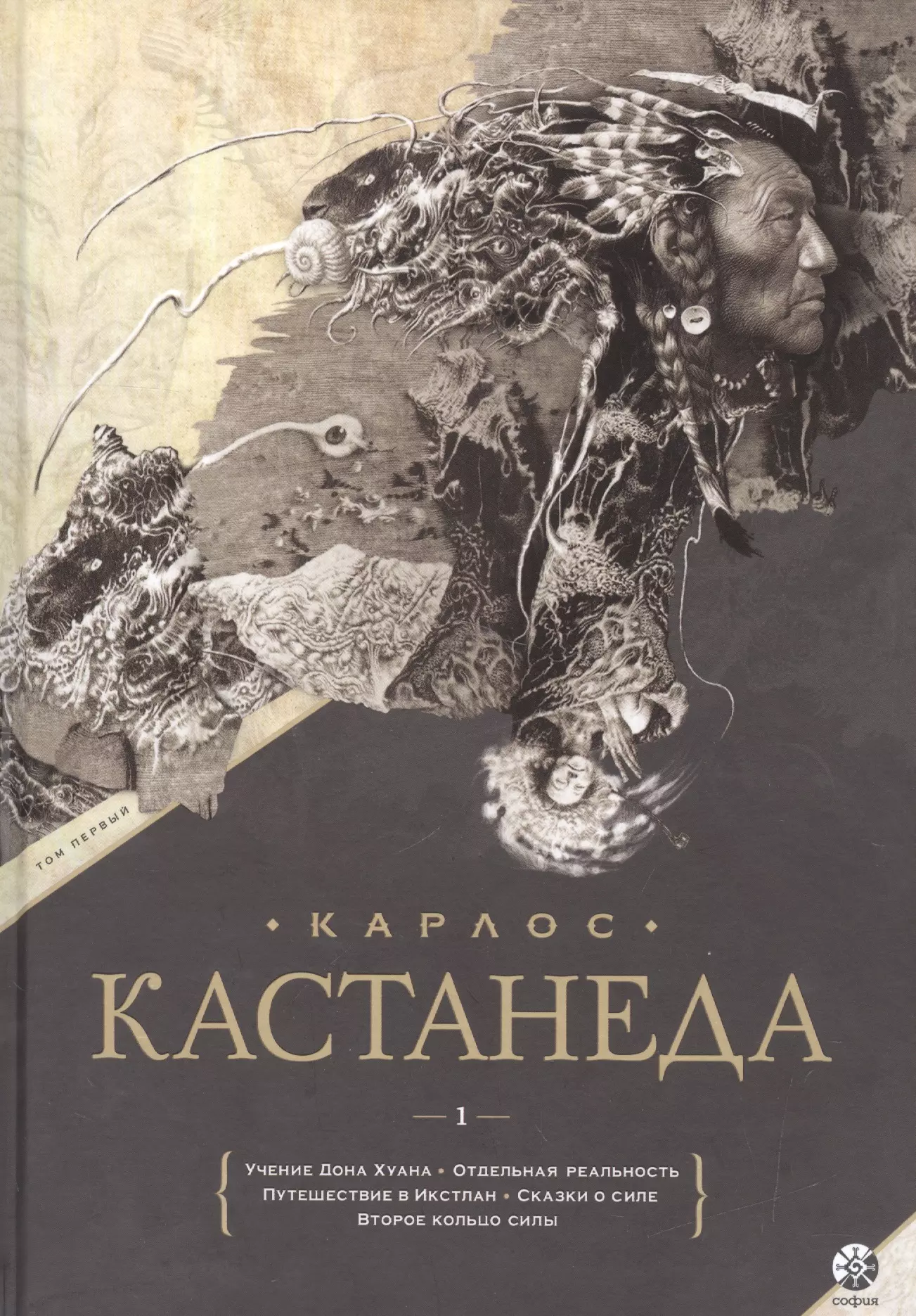 Учение дона хуана карлос. Кастанеда учение Дона Хуана отдельная реальность. Кастанеда путешествие в Икстлен. Учение Дона Хуана первая книга Карлоса.