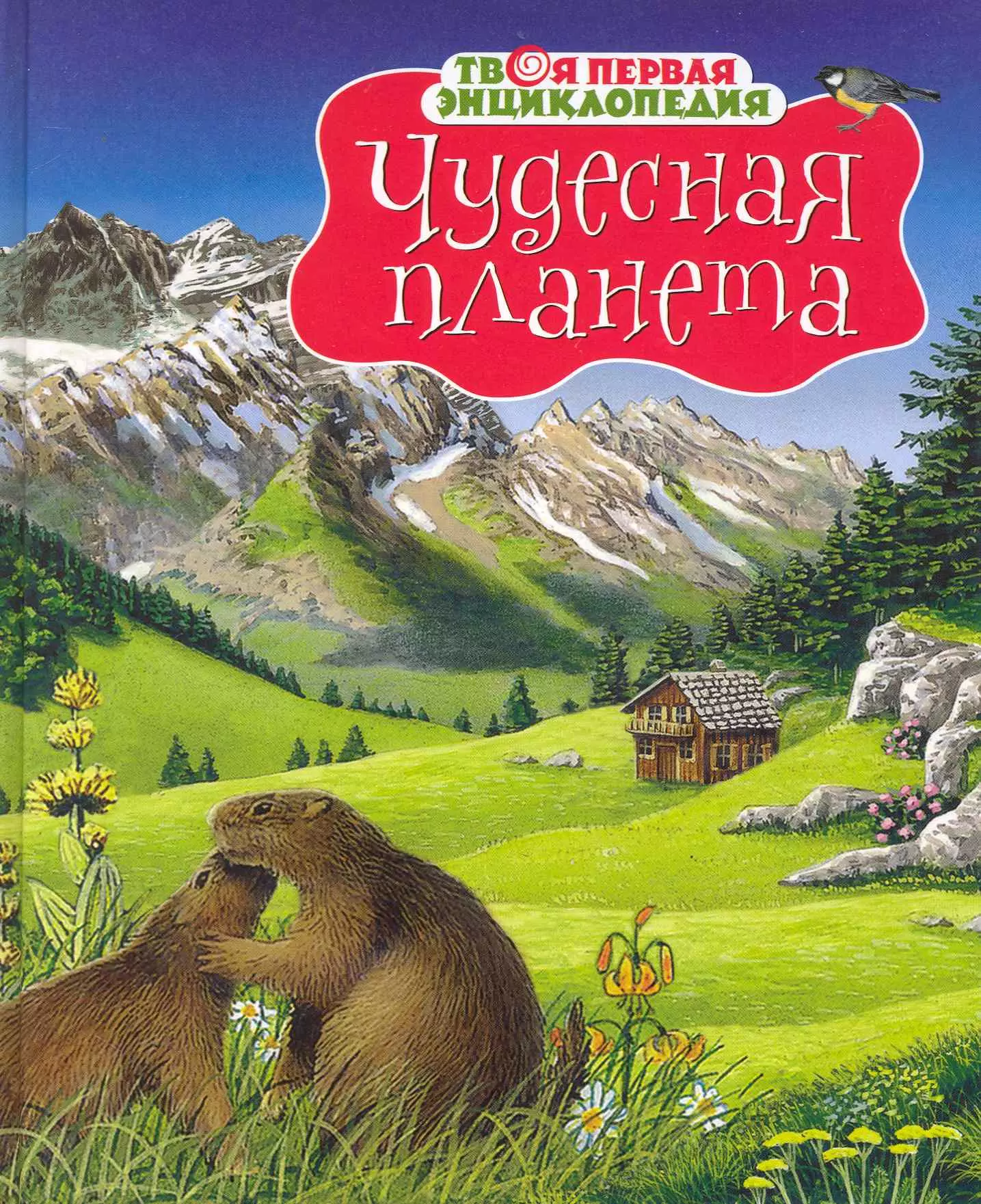 Планета автор. Энциклопедия чудесная Планета Махаон. Твоя первая энциклопедия чудесная Планета. Чудесная Планета земля книга. Чудесная Планета земля энциклопедия для детей.