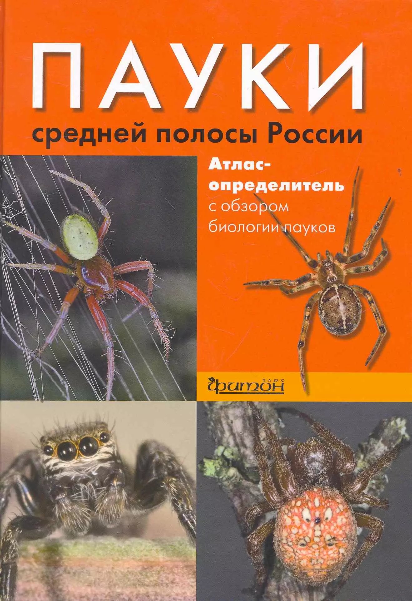 Паук книга. Пауки России атлас определитель. Пауки средней полосы России книга. Пауки средней полосы России атлас-определитель. Пауки энциклопедия.