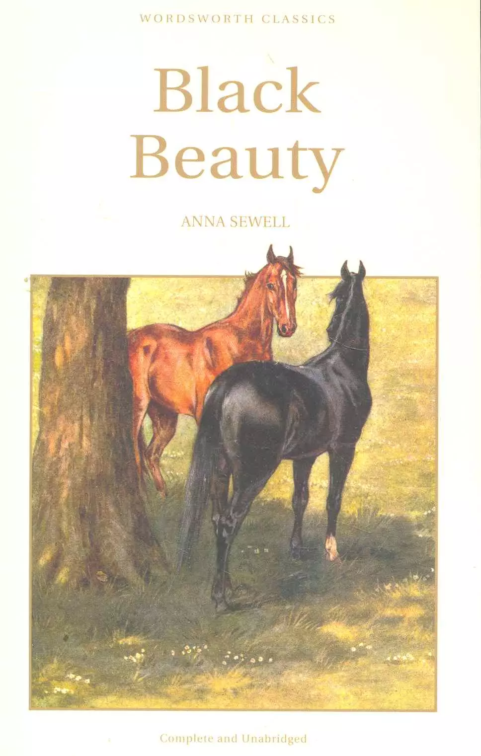 Sewell Anna - Black Beauty