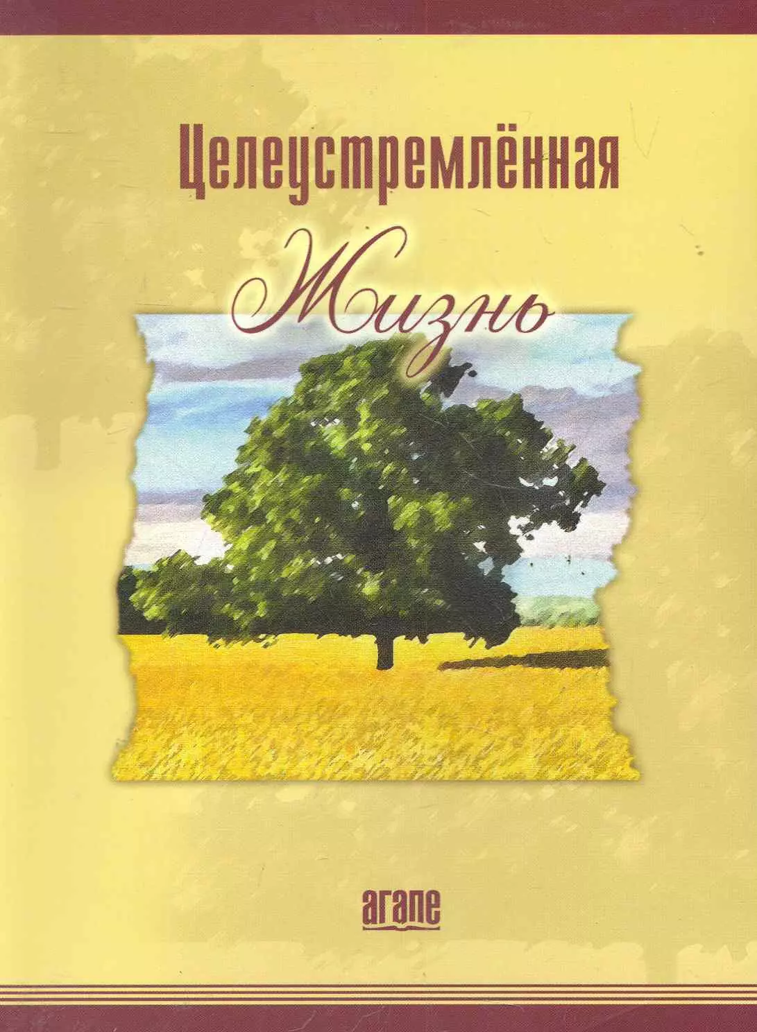  - Целеустремленная жизнь (6,7 изд) (м) Уоррен (2 вида)